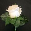 white rose bh 9 11 16
