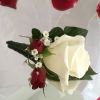 White rose and red rosebud groom buttonhole 010618